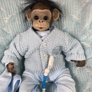 Baby monkey