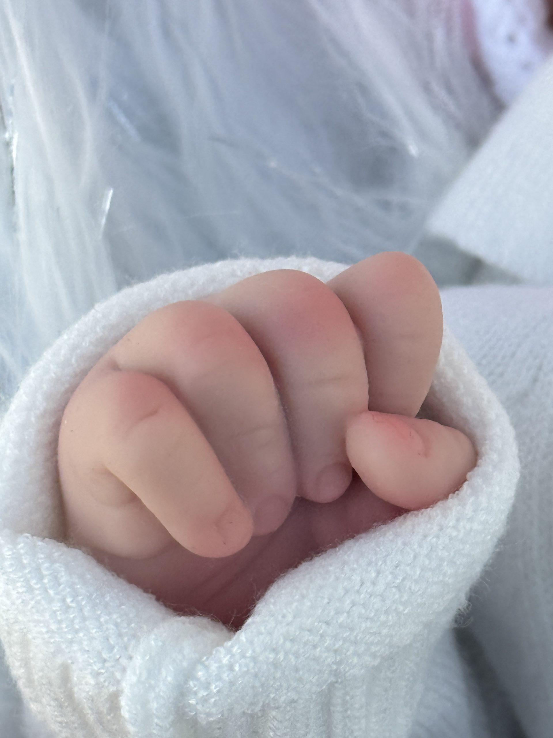 Baby Amelia - Image 2